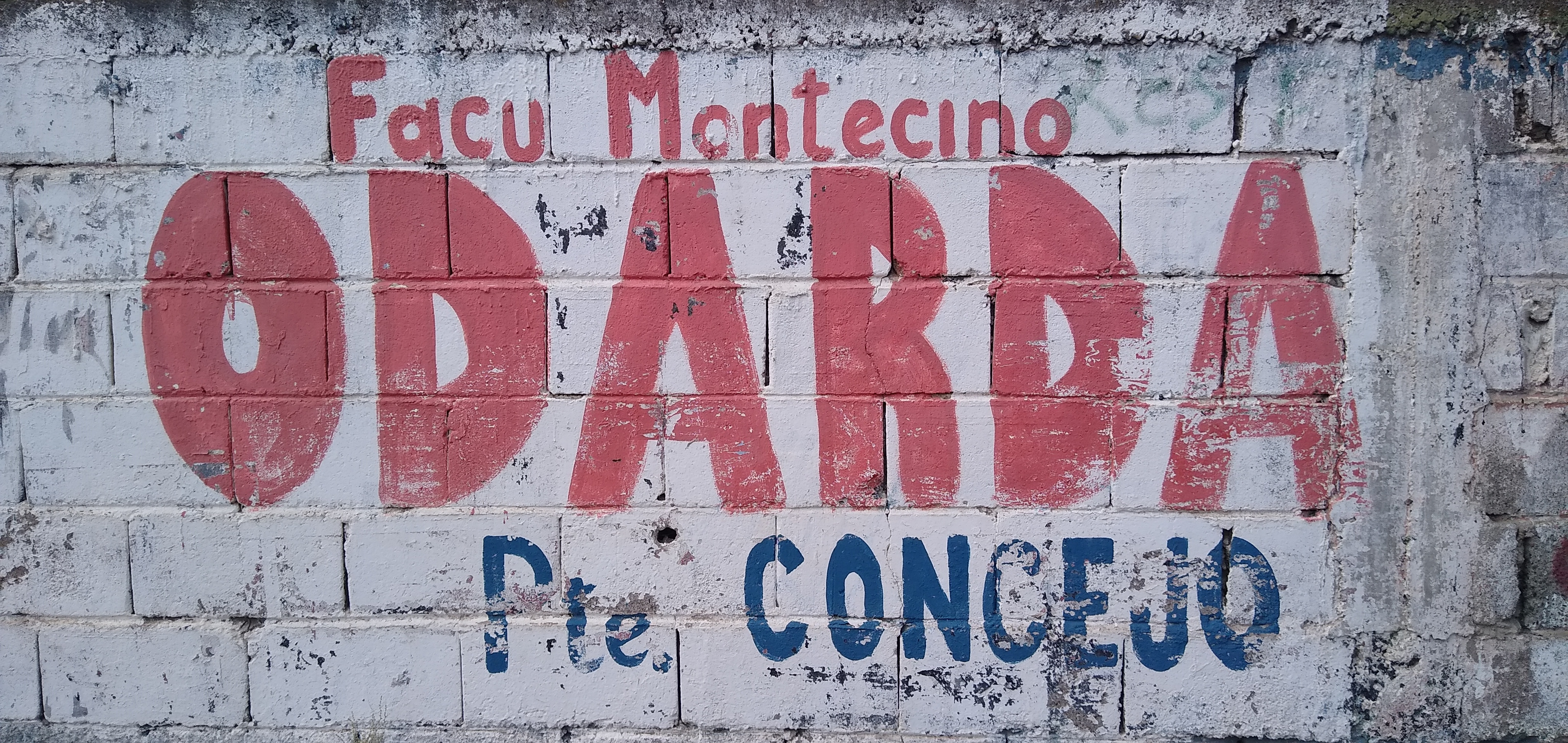 Imagen adicional