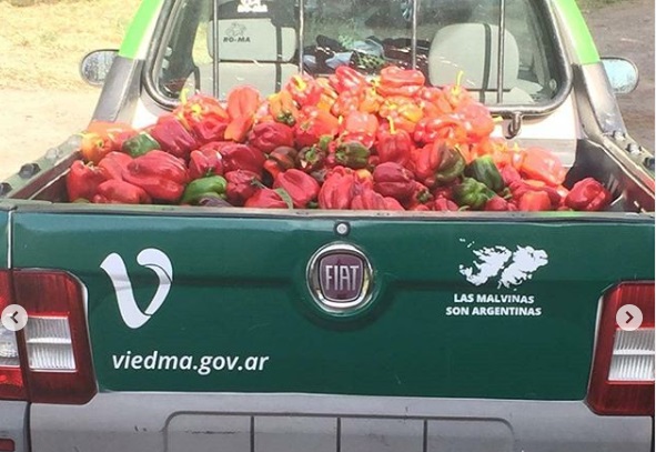 Imagen adicional